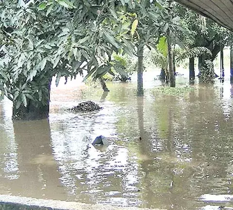 Familias fueron afectadas por desbordamiento de quebrada 