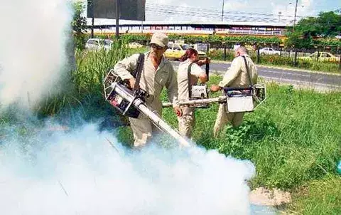 Colón, Coclé y Herrera activan la campaña para prevenir  el dengue 