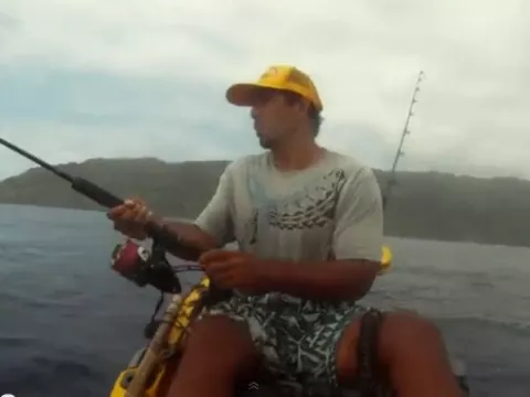 Un tiburón saltó y le arrancó un pez a un pescador en kayak