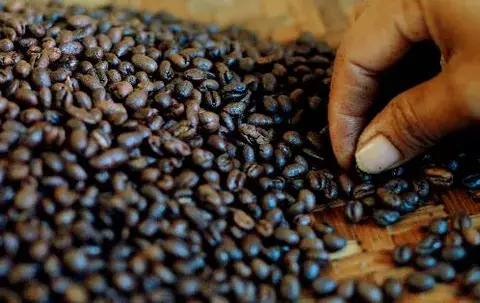 Centroamérica promociona su café, cigarros y licores en Taiwán 