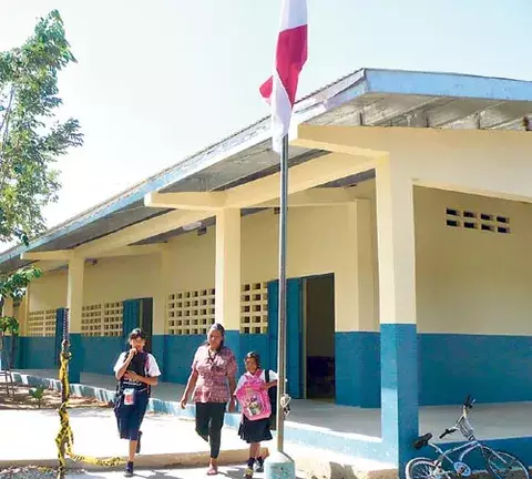 Invasión de pulgas y murciélagos afecta a  escuelas 