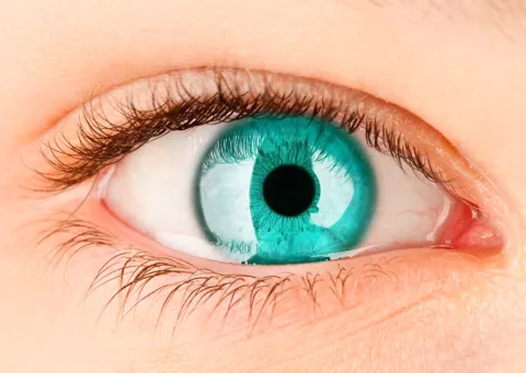 Con un dispositivo se podrá escribir con los ojos
