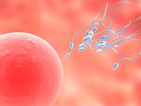 Futura píldora anticonceptiva para hombres