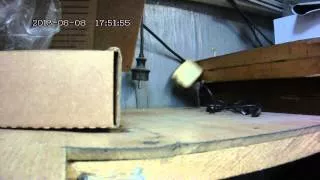 Un ratón hace hasta lo imposible para lograr robarse una galleta 