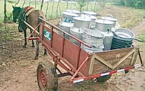 Mal estado de caminos golpea a los productores del país 