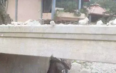 Cerrarán puente sobre el río Palo Alto, en Boquete 