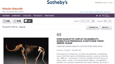 Subastarán esqueleto de mamut en París