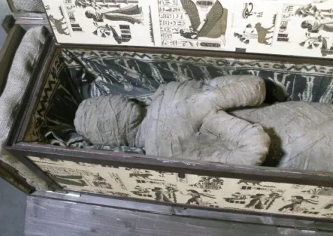 Niño encuentra momia mientras jugaba en su casa
