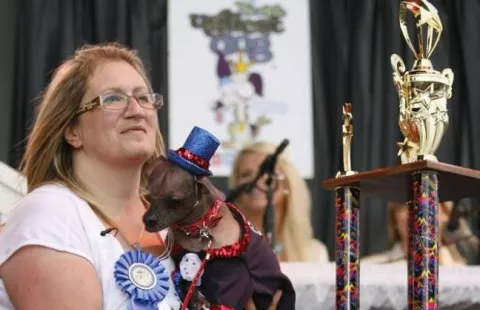 Un chino crestado ganó el título del perro más feo