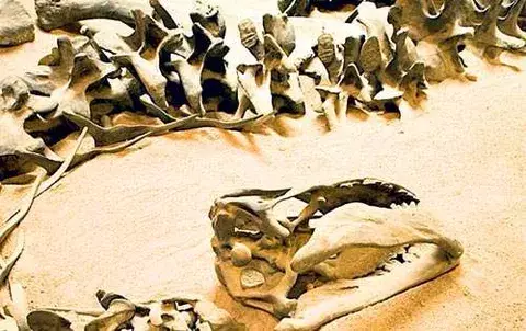El dinosaurio Carnotaurus era rápido y mortífero 