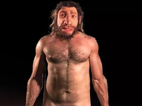 Indican que neandertales comían vegetales
