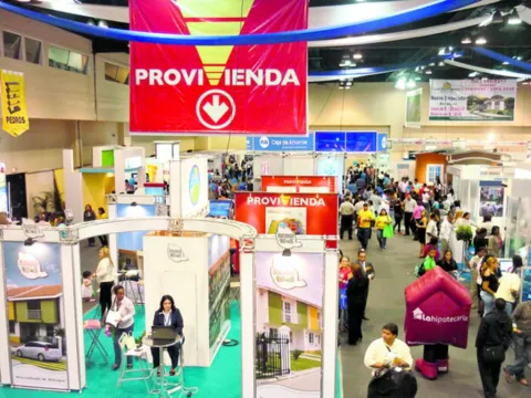 Hay gramas más resistentes al tráfico