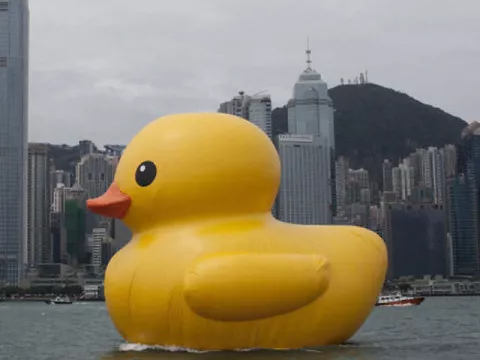 Posible sabotaje contra pato gigante que paseaba por el puerto