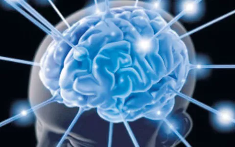  La venganza resulta del placer que siente el cerebro humano con el dolor ajeno