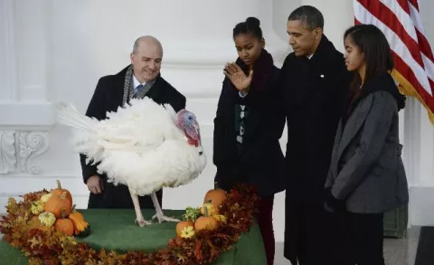 Obama indulta al pavo y lo libera de ser su cena