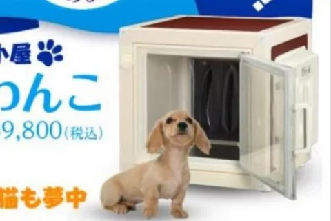 Lanzan a la venta casa para mascotas con aire acondicionado