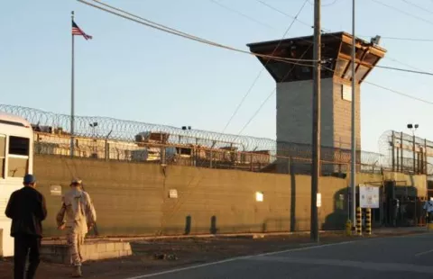 Preso de Guantánamo tendría un gato como mascota