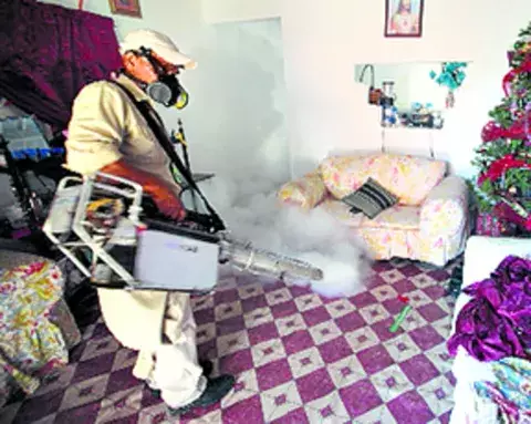 Salud reporta en Coclé 152 casos de dengue sin signos de alarma 