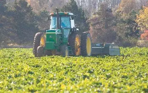 Cooperativas agrícolas  reducen la pobreza 