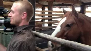 Camarográfo es acariciado por un caballo mientras realizaba una grabación