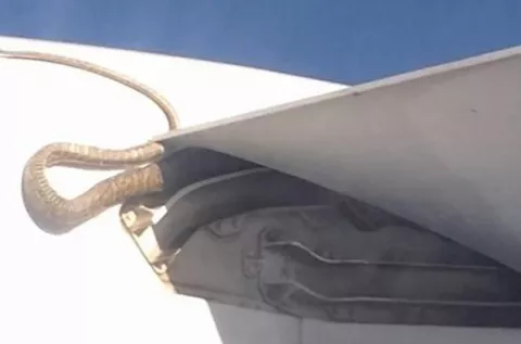 Una serpiente de 3 metros voló tres horas en el ala de un avión