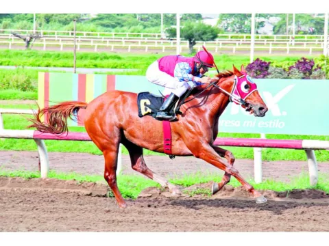Nominaciones 