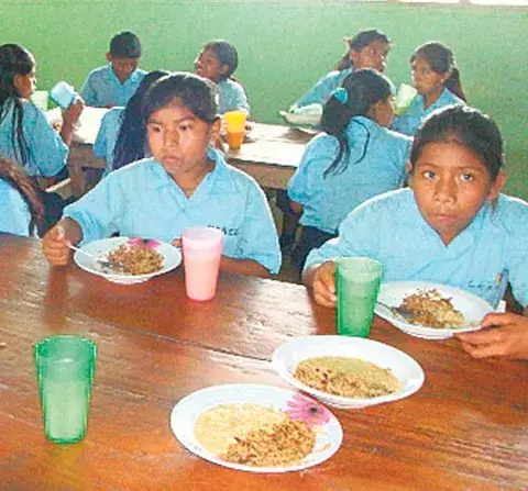 Padres de familia niegan cuadros de vómitos y diarreas 
