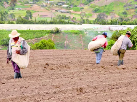 Para  2050, la crisis alimentaria será más aguda y habrá escasez 