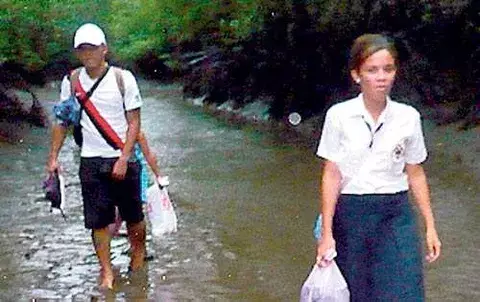 Isleños talaron  700 metros  de  mangle  