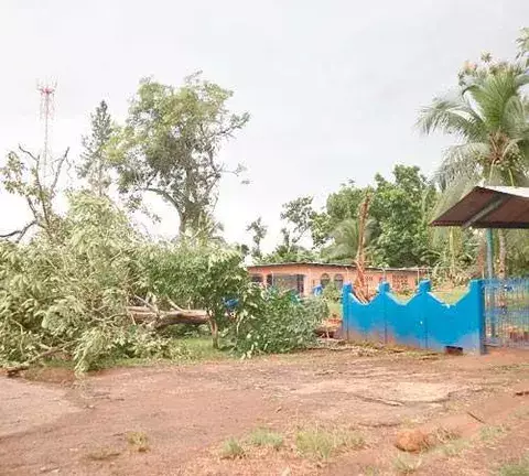 Pánico en El Roble por voladuras de techos y derrumbe de árboles 
