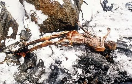 Encuentran 19 parientes vivos del "hombre de los hielos" 