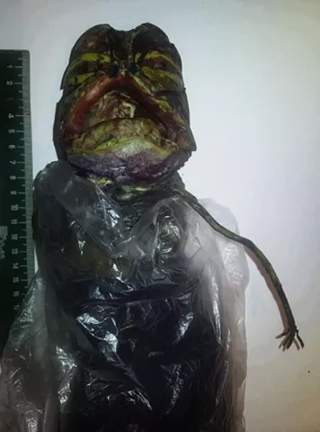 Ha tenido un "alien" congelado por dos años