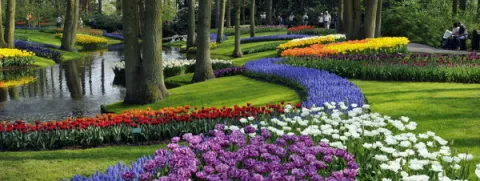 Las flores del 'Keukenhof' sobreviven a la crisis económica