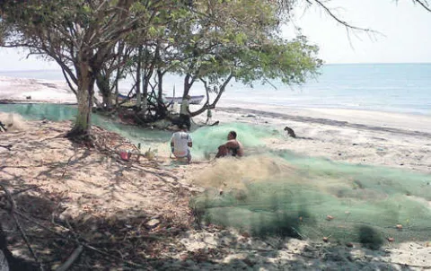 Pescadores están alerta por desalojos de terrenos 