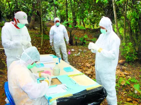 Dos personas reciben atención en Los Santos debido al Hantavirus 
