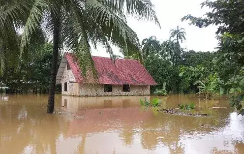 Alvarado: Seguirá lloviendo por varios día más
