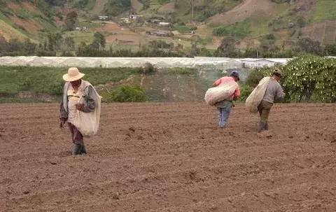 MIDA se reunirá con productores para evaluar necesidades del sector