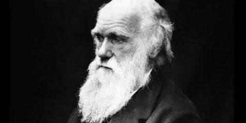 Darwin sentía que con su teoría de la evolución confesaba 'un asesinato'