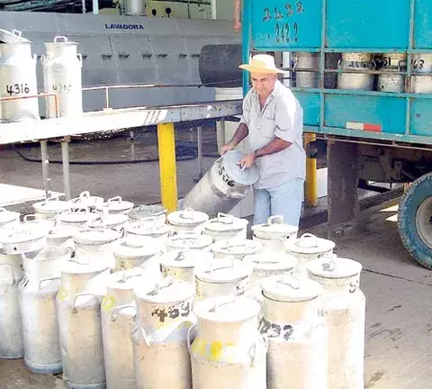 Leche no aumentará de precio, pese a una baja producción 