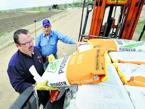 Desde 1997 Panamá importa semillas maíz que es utilizado para alimentar animales 