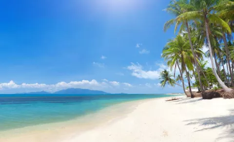 Cierran playas por presencia de más de un centenar de tiburones