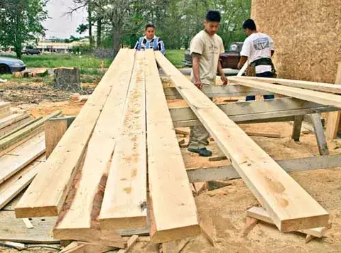 Industria del mueble está “en coma” por escasez de madera 
