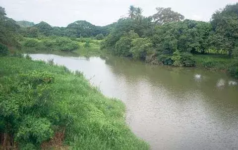 Peligra suministro de agua por contaminación del río La Villa en Azuero 