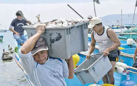 Exportaciones generan $1900 millones  