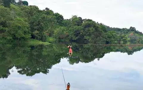    Un fin de semana a la orilla del Lago Gatún 
