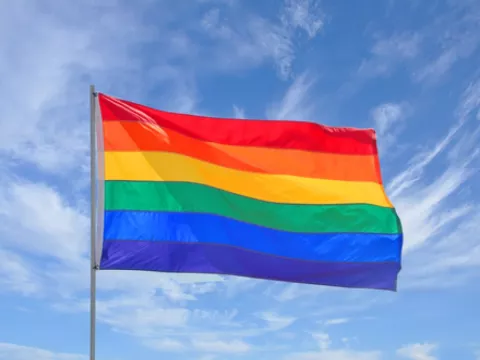 Los homosexuales "merecen ser castrados" dice el presidente de Zimbabue