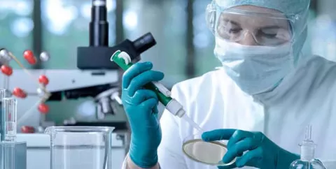 Curan las verrugas causadas por el virus de papiloma humano
