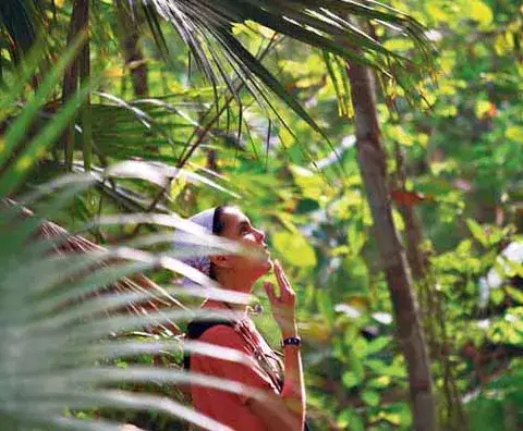 Observación de aves, una actividad que genera divisas 