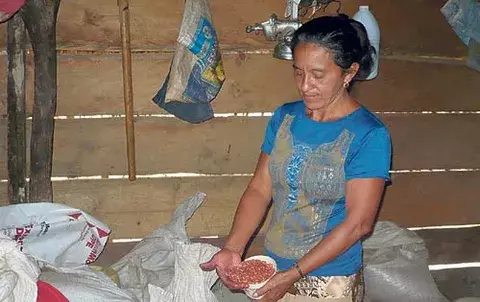 Comité de Cadena del Poroto definirá estrategia para la comercialización 