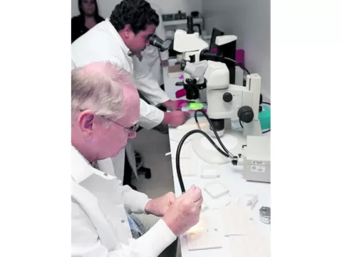 El Instituto Conmemorativo Gorgas construyó un insectario  